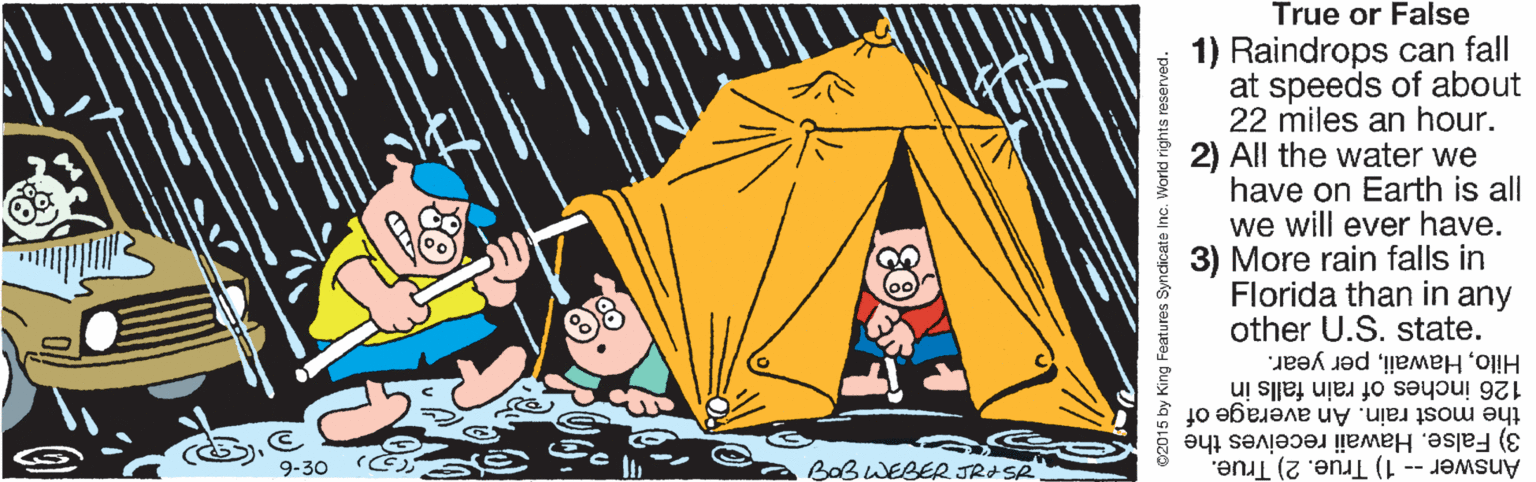 Pleased OCR: True or False 1) Raindrops can fall at speeds of about 22 miles an hour. 2) All the water we have on Earth is all we will ever have. 3) More rain falls in Florida than in any other U.S. state. Hiloper year. 126 inches of rain falls in the most rain. An average of 3) False. Hawaii receives the 9-30 BOBWEBER JRASR Answer -- 1) True. 2) True. 02015 by King Features Syndicate Inc. World rights reserved. True or False 1) Raindrops can fall at speeds of about 22 miles an hour. 2) All the water we have on Earth is all we will ever have. 3) More rain falls in Florida than in any other U.S. state. Hiloper year. 126 inches of rain falls in the most rain. An average of 3) False. Hawaii receives the 9-30 BOBWEBER JRASR Answer -- 1) True. 2) True. 02015 by King Features Syndicate Inc. World rights reserved.