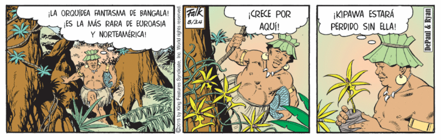 Fictional character OCR: LA ORQUIDEA FANTASMA DE BANGALA! ¡ES LA MÁS RARA DE EUROASIA Y NORTEAMÉRICA! Falk 8/24 CRECE POR AQUÍ! ¡KIPAWA ESTARÁ PERDIDO SIN ELLA! D2015 by King Features SyndicateInc. World right DePaul &Ryan LA ORQUIDEA FANTASMA DE BANGALA! ¡ES LA MÁS RARA DE EUROASIA Y NORTEAMÉRICA! Falk 8/24 CRECE POR AQUÍ! ¡KIPAWA ESTARÁ PERDIDO SIN ELLA! D2015 by King Features SyndicateInc. World right DePaul &Ryan
