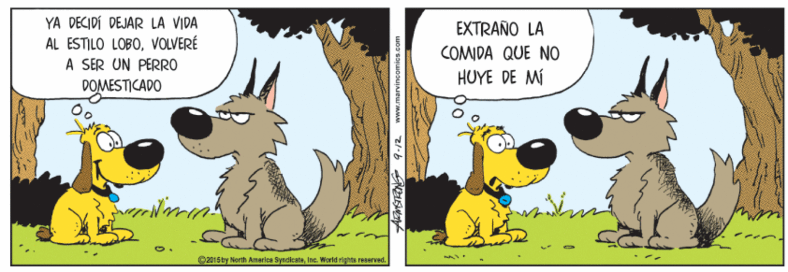 Art OCR: YA DECIDI DEJAR LA VIDA EXTRAÑO LA AL ESTILO LOBOVOLVERÉ A SER UN PERRO DOMESTICADO COMIDA QUE NO HUYE DE MI 2015by North America SyndicateInc. World rights reserved. AMSTEN 9-12 www.marvincomics.com YA DECIDI DEJAR LA VIDA EXTRAÑO LA AL ESTILO LOBOVOLVERÉ A SER UN PERRO DOMESTICADO COMIDA QUE NO HUYE DE MI 2015by North America SyndicateInc. World rights reserved. AMSTEN 9-12 www.marvincomics.com