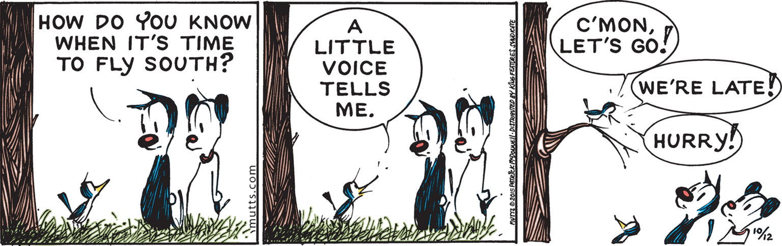 People in nature OCR: HOW DO YOU KNOW WHEN IT'S TIME TO FLY SOUTH? A LITTLE VOICE TELLS ME. C'MONLET'S GO! (WE'RE LATE!) HURRY! 1%2 HOW DO YOU KNOW WHEN IT'S TIME TO FLY SOUTH? A LITTLE VOICE TELLS ME. C'MONLET'S GO! (WE'RE LATE!) HURRY! 1%2