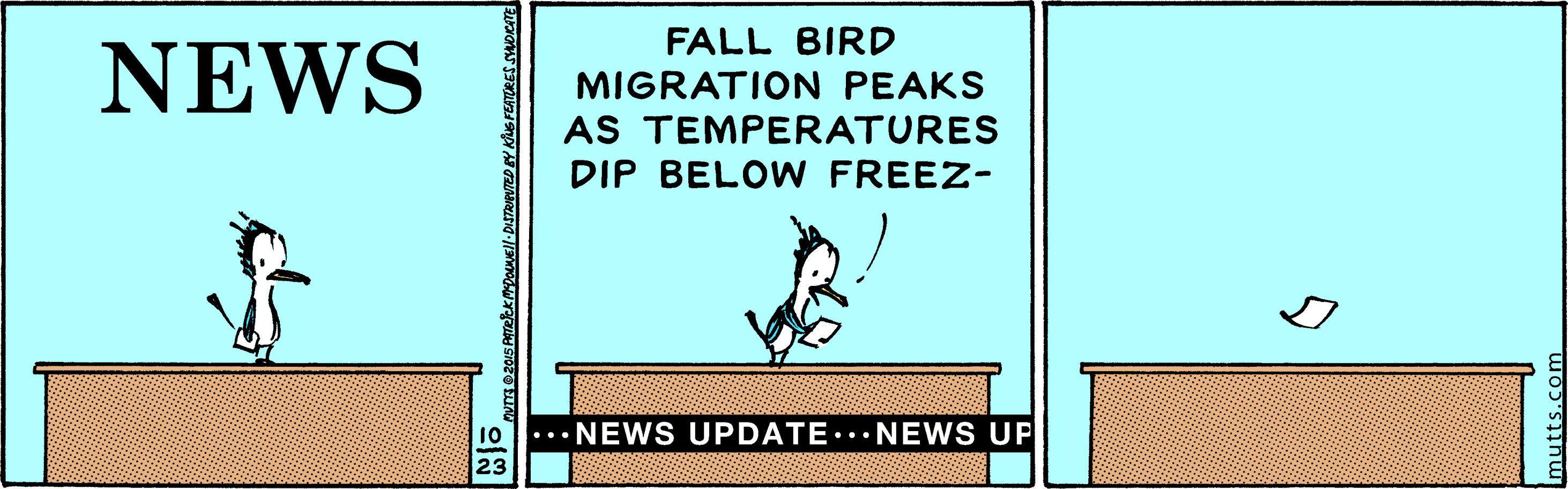 Sign OCR: FALL BIRD NEWS MIGRATION PEAKS AS TEMPERATURES DIP BELOWN FREEZ- NEWS UPDATE..NEW S UP FALL BIRD NEWS MIGRATION PEAKS AS TEMPERATURES DIP BELOWN FREEZ- NEWS UPDATE..NEW S UP