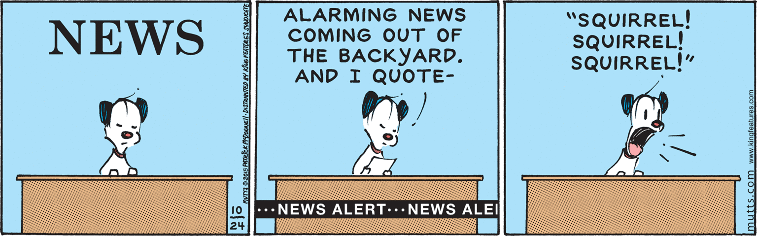 Fiction OCR: ALARMING NEWS COMING OUT OF THE BACKYARD. AND I QUOTE- "SQUIRREL! SQUIRREL! SQUIRREL!" NEWS NEWS ALERT... NEWS ALEI 24 ALARMING NEWS COMING OUT OF THE BACKYARD. AND I QUOTE- "SQUIRREL! SQUIRREL! SQUIRREL!" NEWS NEWS ALERT... NEWS ALEI 24