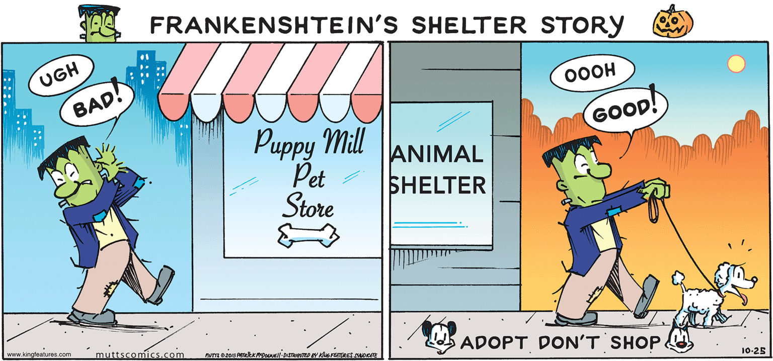 Illustration OCR: FRANKENSHTEIN'S SHELTER STORY UGH BAD 00OH Puppy Mill Pet Store GOOD! ANIMAL SHELTER www.kingfeatures.com muttscomics.com ADOPT DON'T SHOP. 10-25 FRANKENSHTEIN'S SHELTER STORY UGH BAD 00OH Puppy Mill Pet Store GOOD! ANIMAL SHELTER www.kingfeatures.com muttscomics.com ADOPT DON'T SHOP. 10-25