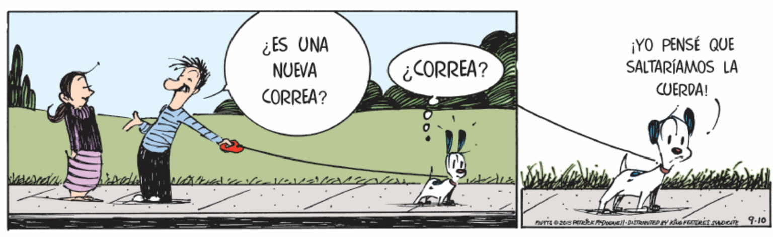 Happy OCR: ¿ES UNA NUEVA CORREA? ¡YO PENSÉ QUE SALTARÍAMOS LA ¿CORREA? CUERDA! ¿ES UNA NUEVA CORREA? ¡YO PENSÉ QUE SALTARÍAMOS LA ¿CORREA? CUERDA!