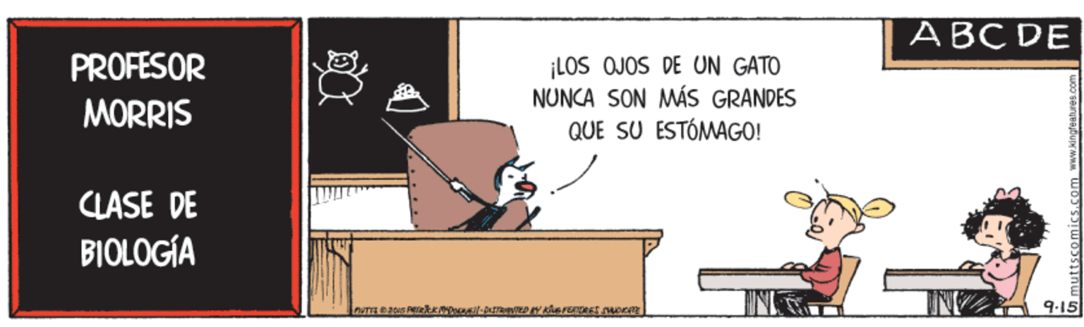 Sharing OCR: ABC DE PROFESOR ¡LOS OJOS DE UN GATO NUNCA SON MÁS GRANDES QUE SU ESTÓMAGO! MORRIS CLASE DE BIOLOGÍA 9-15 ABC DE PROFESOR ¡LOS OJOS DE UN GATO NUNCA SON MÁS GRANDES QUE SU ESTÓMAGO! MORRIS CLASE DE BIOLOGÍA 9-15