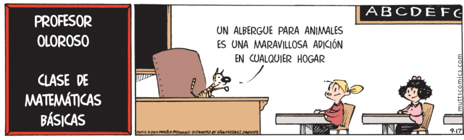 Fiction OCR: ABCDEFG PROFESOR UN ALBERGUE PARA ANIMALES ES UNA MARAVILLOSA ADICIÓN OLOROSO EN CUALQUIER HOGAR CLASE DE MATEMÁTICAS BÁSICAS 9.17 ABCDEFG PROFESOR UN ALBERGUE PARA ANIMALES ES UNA MARAVILLOSA ADICIÓN OLOROSO EN CUALQUIER HOGAR CLASE DE MATEMÁTICAS BÁSICAS 9.17