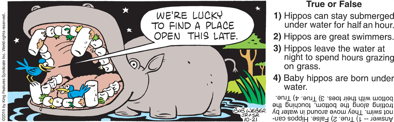 Humour OCR: True or False WE'RE LUCKY TO FIND A PLACE OPEN THIS LATE. 1) Hippos can stay submerged under water for half an hour. 2) Hippos are great swimmers. 3) Hippos leave the water at night to spend hours grazing on grass. 4) Baby hippos are born under water. trotting along the bottomtouching the bottom with their toes. 3) True. 4) True. not swim. They move around in water by Answer -- 1) True. 2) False. Hippos can- 10-21 ©2015 by King Features Syndicate Inc. World rights reserved. True or False WE'RE LUCKY TO FIND A PLACE OPEN THIS LATE. 1) Hippos can stay submerged under water for half an hour. 2) Hippos are great swimmers. 3) Hippos leave the water at night to spend hours grazing on grass. 4) Baby hippos are born under water. trotting along the bottomtouching the bottom with their toes. 3) True. 4) True. not swim. They move around in water by Answer -- 1) True. 2) False. Hippos can- 10-21 ©2015 by King Features Syndicate Inc. World rights reserved.