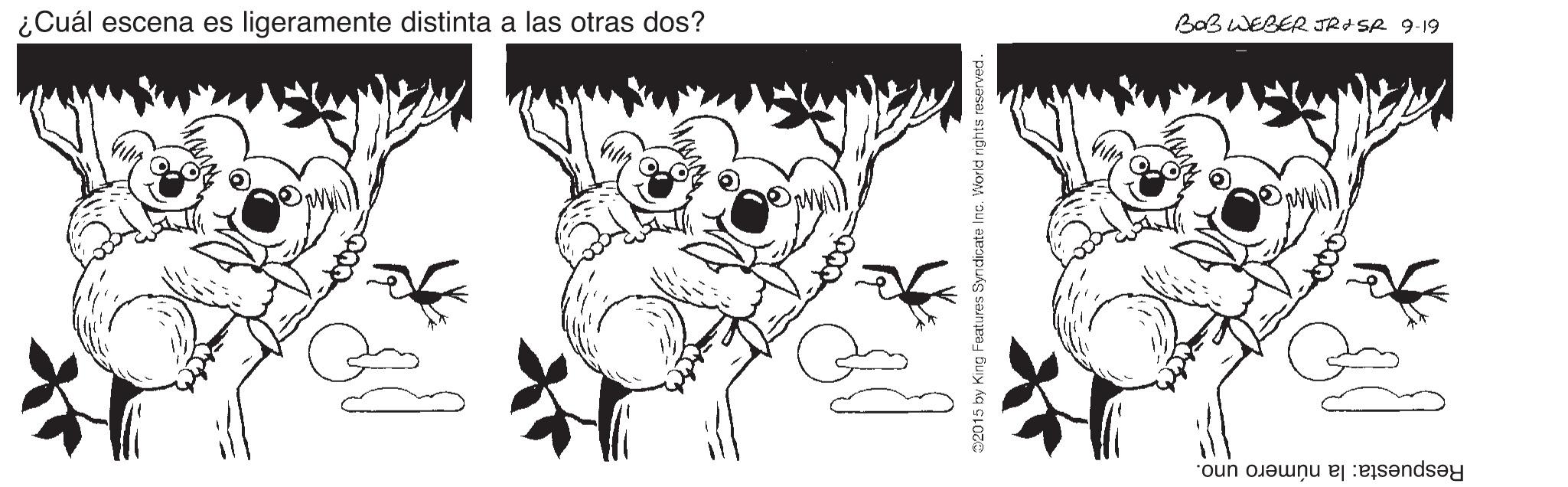 Happy OCR: ¿Cuál escena es ligeramente distinta a las otras dos? BaB WEBER JRISR 9-19 Respuesta: la número uno. ¿Cuál escena es ligeramente distinta a las otras dos? BaB WEBER JRISR 9-19 Respuesta: la número uno.
