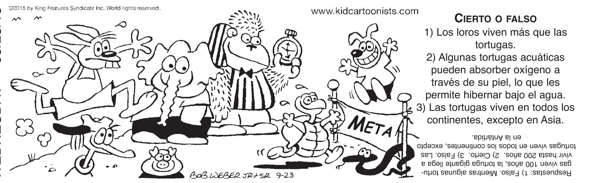 Rectangle OCR: D2015 by King Features Syndicate Inc. World rights reserved www.kidcartoonists.com CIERTO O FALSO 1) Los loros viven más que las tortugas. 2) Algunas tortugas acuáticas pueden absorber oxígeno a través de su piello que les permite hibernar bajo el agua. 3) Las tortugas viven en todos los continentesexcepto en Asia. ???? en la Antártida. tortugas viven en todos los continentesexcepto vivir hasta 200 años. 2) Cierto. 3) Falso. Las gas viven 100 añosla tortuga gigante llega a BaB WEBER JRASR 9-23 Respuestas: 1) Falso. Mientras algunas tortu- D2015 by King Features Syndicate Inc. World rights reserved www.kidcartoonists.com CIERTO O FALSO 1) Los loros viven más que las tortugas. 2) Algunas tortugas acuáticas pueden absorber oxígeno a través de su piello que les permite hibernar bajo el agua. 3) Las tortugas viven en todos los continentesexcepto en Asia. ???? en la Antártida. tortugas viven en todos los continentesexcepto vivir hasta 200 años. 2) Cierto. 3) Falso. Las gas viven 100 añosla tortuga gigante llega a BaB WEBER JRASR 9-23 Respuestas: 1) Falso. Mientras algunas tortu-