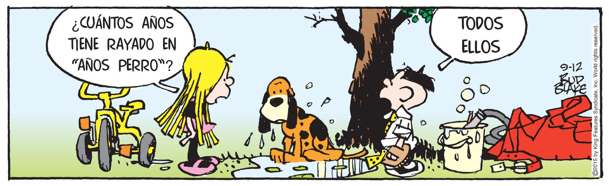 Dog OCR: ¿CUÁNTOS AÑOS TIENE RAYADO EN "AÑOS PERRO"? TODOS ELLOS 9-12 BIAYE ¿CUÁNTOS AÑOS TIENE RAYADO EN "AÑOS PERRO"? TODOS ELLOS 9-12 BIAYE