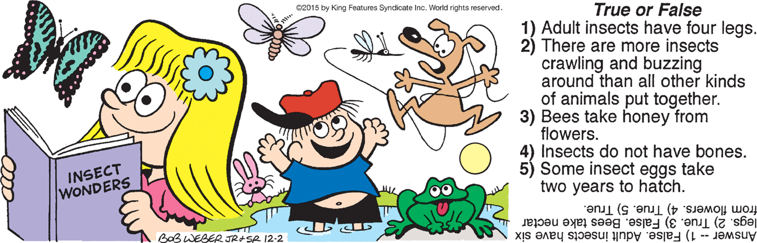 Graphics OCR: ©2015 by King Features Syndicate Inc. World rights reserved. True or False 1) Adult insects have four legs. 2) There are more insects crawling and buzzing around than all other kinds of animals put together. 3) Bees take honey from flowers. Insects do not have bones. Some insect eggs take two years to hatch. INSECT WONDERS from flowers. 4) True. 5) True. legs. 2) True. 3) False. Bees take nectar Answer1) False. Adult insects have six BOBWEBER JRASR 12-2 ©2015 by King Features Syndicate Inc. World rights reserved. True or False 1) Adult insects have four legs. 2) There are more insects crawling and buzzing around than all other kinds of animals put together. 3) Bees take honey from flowers. Insects do not have bones. Some insect eggs take two years to hatch. INSECT WONDERS from flowers. 4) True. 5) True. legs. 2) True. 3) False. Bees take nectar Answer1) False. Adult insects have six BOBWEBER JRASR 12-2
