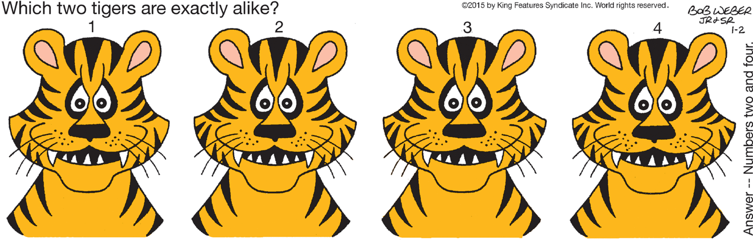 Smile OCR: Which two tigers are exactly alike? ©2015 by King Features Syndicate Inc. World rights reserved. BaBWEBER JRISR 1-2 1 2 3 Which two tigers are exactly alike? ©2015 by King Features Syndicate Inc. World rights reserved. BaBWEBER JRISR 1-2 1 2 3