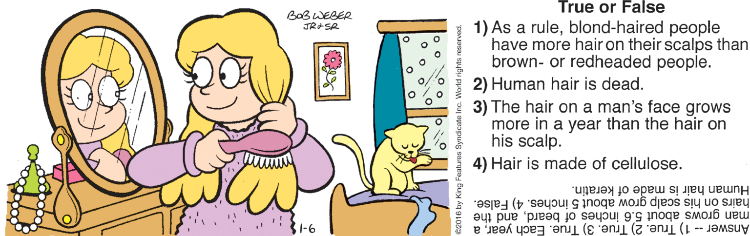 Yellow OCR: ?? True or False BaB WEBER JR+SR 1) As a ruleblond-haired people have more hair on their scalps than brown- or redheaded people. 2) Human hair is dead. 3) The hair on a man's face grows more in a year than the hair on his scalp. 4) Hair is made of cellulose. Human hair is made of keratin. hairs on his scalp grow about 5 inches. 4) False. man grows about 5.6 inches of beardand the S1-6 Answer - 1) True. 2) True. 3) True. Each yeara ©2016 by K ?? True or False BaB WEBER JR+SR 1) As a ruleblond-haired people have more hair on their scalps than brown- or redheaded people. 2) Human hair is dead. 3) The hair on a man's face grows more in a year than the hair on his scalp. 4) Hair is made of cellulose. Human hair is made of keratin. hairs on his scalp grow about 5 inches. 4) False. man grows about 5.6 inches of beardand the S1-6 Answer - 1) True. 2) True. 3) True. Each yeara ©2016 by K