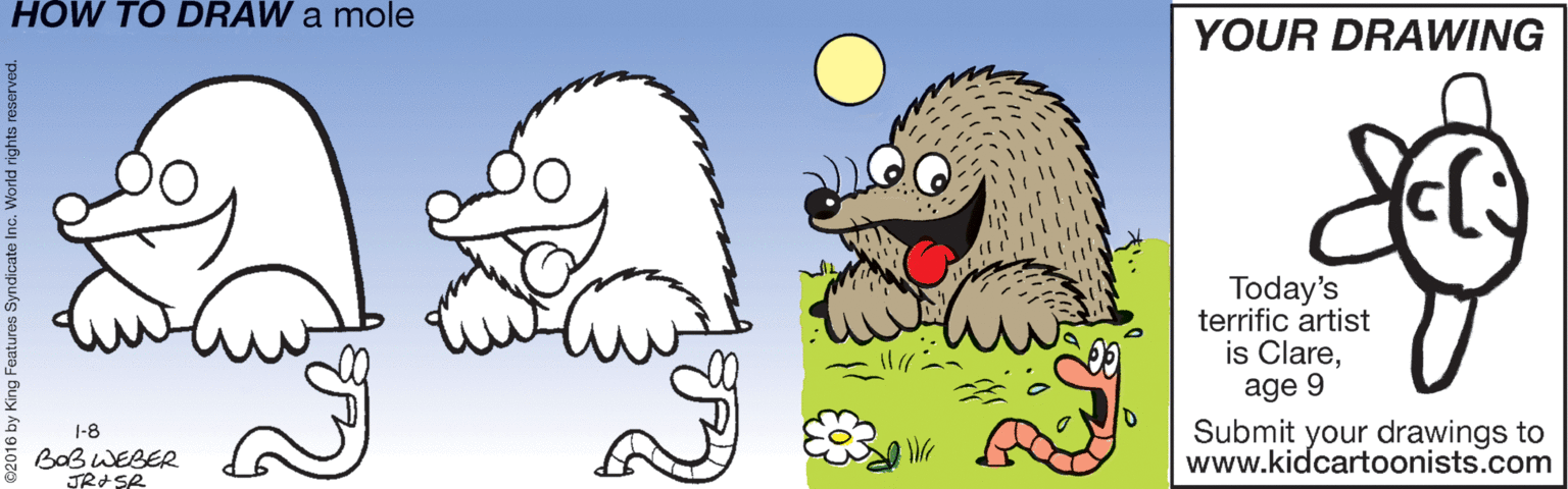 Happy OCR: HOW TO DRAW a mole YOUR DRAWING Today's terrific artist is Clareage 9 Submit your drawings to www.kidcartoonists.com |-8 BaB WEBER 016 by King Features Syndicate Inc. HOW TO DRAW a mole YOUR DRAWING Today's terrific artist is Clareage 9 Submit your drawings to www.kidcartoonists.com |-8 BaB WEBER 016 by King Features Syndicate Inc.
