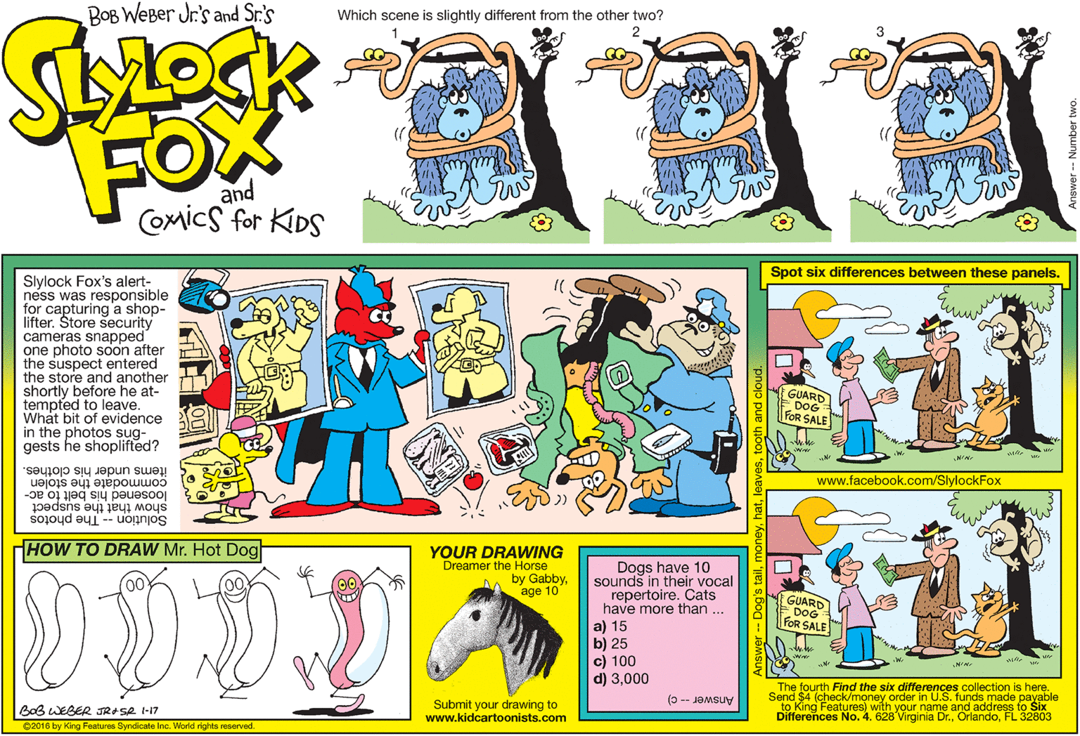 Line art OCR: BOB WEBer Jr.'s and Sr.'s Which scene is slightly different from the other two? 2 FOX and Comics for KIDS Spot six differences between these panels. Slylock Fox's alert- ness was responsible for capturing a shop- lifter. Store security cameras snapped one photo soon after the suspect entered the store and another shortly before he at- tempted to leave. What bit of evidence in the photos sug- gests he shoplifted? GUARD DOG FOR SALE www.facebook.com/SlylockFox commodate the stolen loosened his belt to ac- items under his clothes. Solution -- The photos show that the suspect HOW TO DRAW Mr. Hot Dog YOUR DRAWING Dreamer the Horse Dogs have 10 sounds in their vocal repertoire. Cats have more than ... a) 15 b) 25 c) 100 d) 3000 by Gabbyage 10 GUARD DOG FOR SALE The fourth Find the six differences collection is here. Send $4 (check/money order in funds made l? p?yable BoB WEBER JRASR I-17 Submit your drawing to www.kidcartoonists.com Answer -- c) Differences No. 4. 628 Virginia Dr.FL 32803 2016 by King Features Syndicate Inc. World rights reserved. BOB WEBer Jr.'s and Sr.'s Which scene is slightly different from the other two? 2 FOX and Comics for KIDS Spot six differences between these panels. Slylock Fox's alert- ness was responsible for capturing a shop- lifter. Store security cameras snapped one photo soon after the suspect entered the store and another shortly before he at- tempted to leave. What bit of evidence in the photos sug- gests he shoplifted? GUARD DOG FOR SALE www.facebook.com/SlylockFox commodate the stolen loosened his belt to ac- items under his clothes. Solution -- The photos show that the suspect HOW TO DRAW Mr. Hot Dog YOUR DRAWING Dreamer the Horse Dogs have 10 sounds in their vocal repertoire. Cats have more than ... a) 15 b) 25 c) 100 d) 3000 by Gabbyage 10 GUARD DOG FOR SALE The fourth Find the six differences collection is here. Send $4 (check/money order in funds made l? p?yable BoB WEBER JRASR I-17 Submit your drawing to www.kidcartoonists.com Answer -- c) Differences No. 4. 628 Virginia Dr.FL 32803 2016 by King Features Syndicate Inc. World rights reserved.