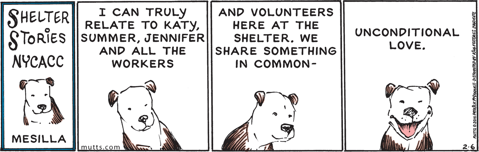 Art OCR: ???? SHELTER I CAN TRULY RELATE TO KATYJENNIFER AND VOLUNTEERS HERE AT THE SHELTER. WE UNCONDITIONAL LOVE. AND ALL THE SHARE SOMETHING NYCACC WORKERS IN COMMON- MESILLA mutts.com 2.6 ? ? ? ? SHELTER I CAN TRULY RELATE TO KATYSTORIES SUMMERJENNIFER AND VOLUNTEERS HERE AT THE SHELTER. WE UNCONDITIONAL LOVE. AND ALL THE SHARE SOMETHING NYCACC WORKERS IN COMMON- MESILLA mutts.com 2.6
