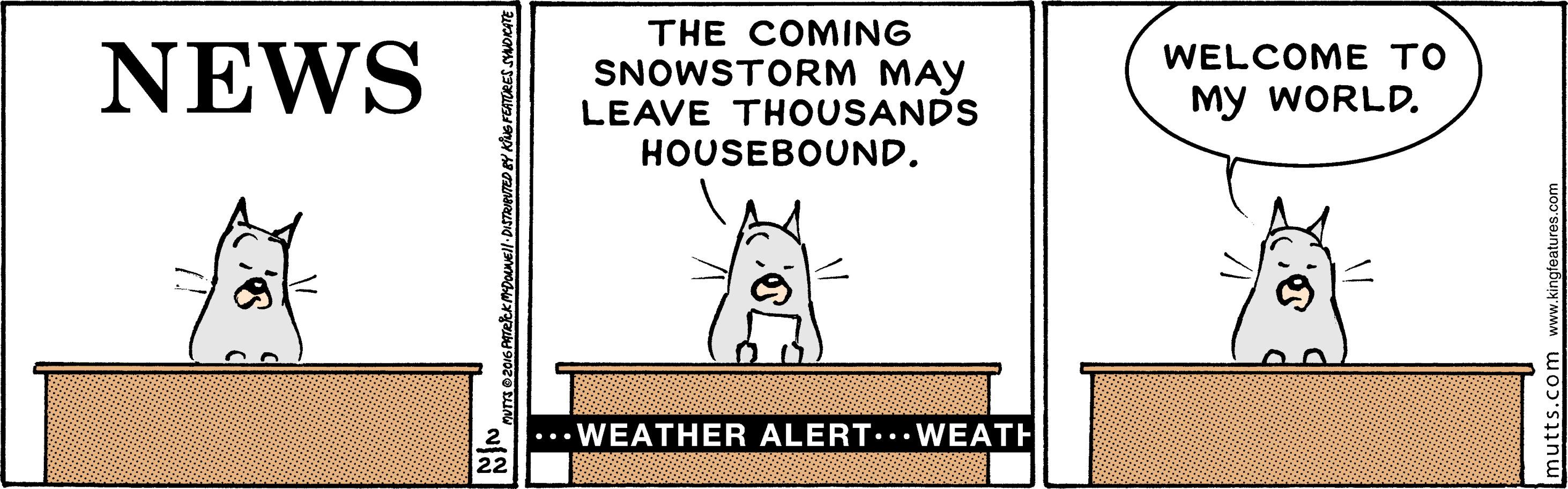 Illustration OCR: THE COMING NEWS WELCOME TO SNOWSTORM MAY LEAVE THOUSANDS HOUSEBOUND. My WORLD. ... WEATHER ALERT..• WEATH hutts.com www.kingteatures.co THE COMING NEWS WELCOME TO SNOWSTORM MAY LEAVE THOUSANDS HOUSEBOUND. My WORLD. ... WEATHER ALERT..• WEATH hutts.com www.kingteatures.co