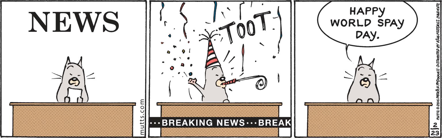 Design OCR: NEWS TOOT HAPPY WORLD SPAY DAY. BREAKING NEWS... BREAK mutts.com NEWS TOOT HAPPY WORLD SPAY DAY. BREAKING NEWS... BREAK mutts.com