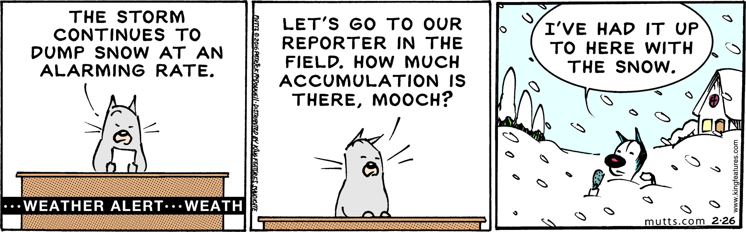 Drawing OCR: THE STORM CONTINUES TO DUMP SNOW AT AN ALARMING RATE. LET'S GO TO OUR REPORTER IN THE FIELD. HOW MUCH ACCUMULATION IS THEREMOOCH? I'VE HAD IT UP TO HERE WITH THE SNOW. ... WEATHER ALERT... WEATH mutts.com 2-26 THE STORM CONTINUES TO DUMP SNOW AT AN ALARMING RATE. LET'S GO TO OUR REPORTER IN THE FIELD. HOW MUCH ACCUMULATION IS THEREMOOCH? I'VE HAD IT UP TO HERE WITH THE SNOW. ... WEATHER ALERT... WEATH mutts.com 2-26