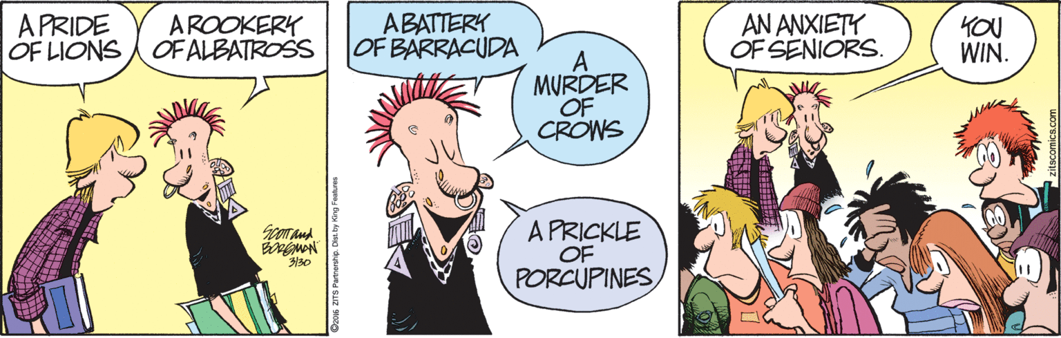 Cartoon OCR: A PRIDE OF LIONS OF ALBATROSS ABATTERY |OF BARRACUDA AN ANXIETY OF SENIORS. AROOKERY KOU WIN. MURDER OF CROWS A PRICKLE OF Scomand 3130 PORCUPINES A PRIDE OF LIONS OF ALBATROSS ABATTERY |OF BARRACUDA AN ANXIETY OF SENIORS. AROOKERY KOU WIN. MURDER OF CROWS A PRICKLE OF Scomand 3130 PORCUPINES