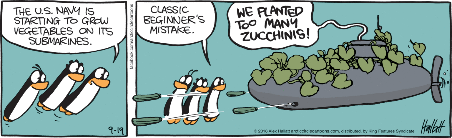 Comics OCR: THE U.S. NAVY IS STARTING TO GROW VEGETABLES ON ITS SUBMARINES. CLASSIC BEGINNER'S MISTAKE. WE PLANTED Too MANY ZUCCHINIS! 9-19 Haltt © 2016 Alex Hallatt arcticcirclecartoons.comdistributed. by King Features Syndicate THE U.S. NAVY IS STARTING TO GROW VEGETABLES ON ITS SUBMARINES. CLASSIC BEGINNER'S MISTAKE. WE PLANTED Too MANY ZUCCHINIS! 9-19 Haltt © 2016 Alex Hallatt arcticcirclecartoons.comdistributed. by King Features Syndicate