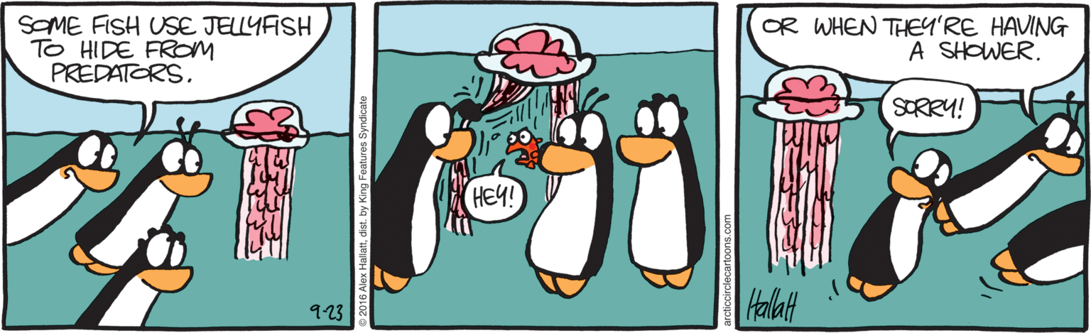 Drawing OCR: SOME FISH USE JELLYFSH TO HIDE FROM PREDATORS. OR WHEN THEY'RE HAVING A SHOWER. SORRY! HEY! 923 SOME FISH USE JELLYFSH TO HIDE FROM PREDATORS. OR WHEN THEY'RE HAVING A SHOWER. SORRY! HEY! 923