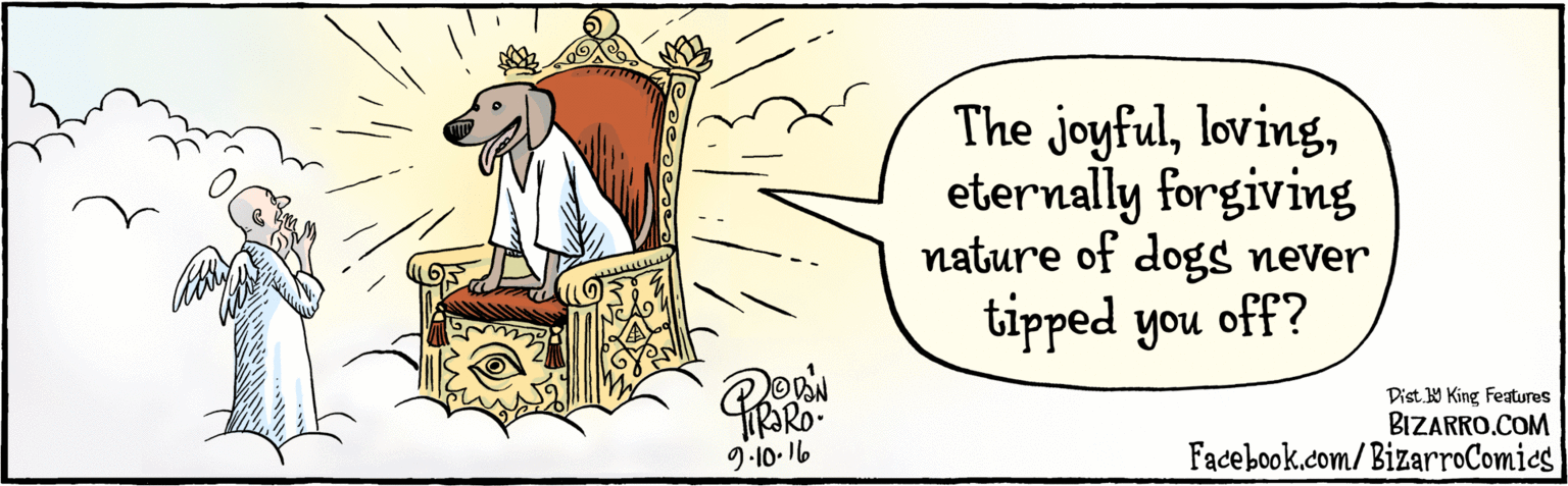 Illustration OCR: BIZARRO.COM Facebook.com/BizarroComics Dist Y King Features The joyfuleternally forgiving nature of dogs never tipped you off? 9.10- 16 BIZARRO.COM Facebook.com/BizarroComics Dist Y King Features The joyfuleternally forgiving nature of dogs never tipped you off? 9.10- 16