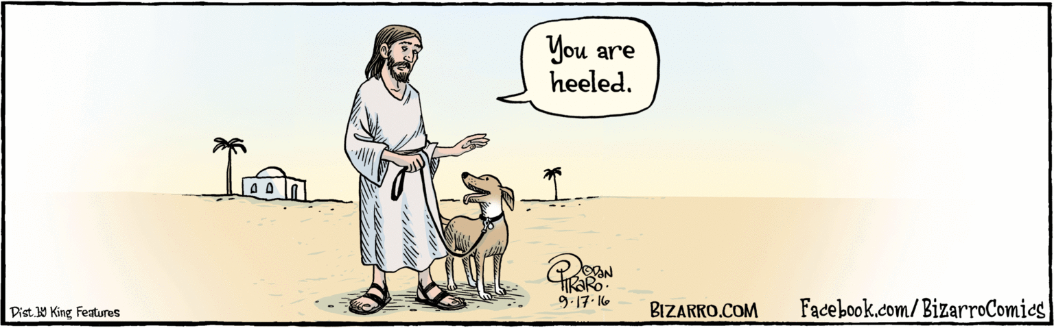 Line OCR: BIZARRO.COM Facebook.com/BizarroComics Dist Y King features You are heeled. Im 9.17.16 BIZARRO.COM Facebook.com/BizarroComics Dist Y King features You are heeled. Im 9.17.16