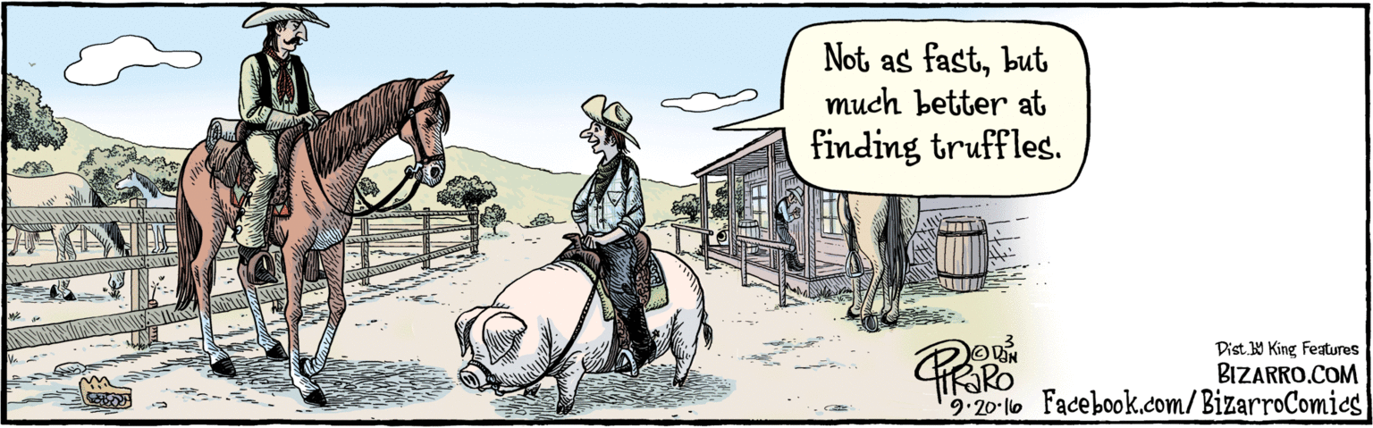Working animal OCR: BIZARRO.COM Facebook.com/ BizarroComics Dist Y King features Not as fastbut much better at finding truffles. 2 9-20- 16 BIZARRO.COM Facebook.com/ BizarroComics Dist Y King features Not as fastbut much better at finding truffles. 2 9-20- 16