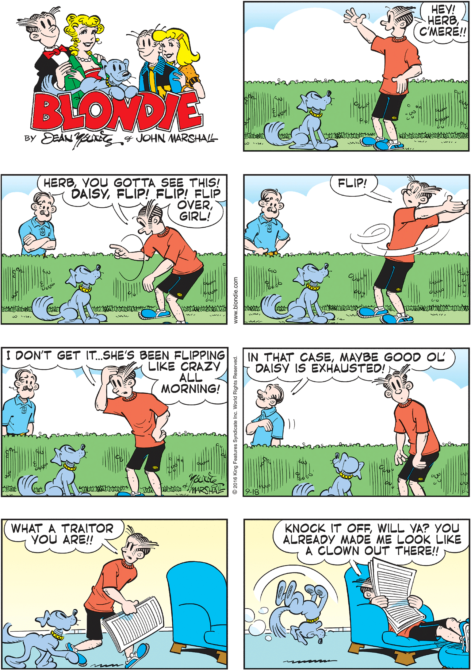 Line OCR: HEY! HERB (C'MERE!! WHAT'S UPDAG? PREPARE TO BE ENTERTAINEDNEIGHBOR! BLONDIE BY EEAN Yung JOHN MARSHALL HERBYOU GOTTA SEE THIS! DAISYFLIP! FLIP! FLIP OVERGIRL! :DON'T GET IT.SHE'S BEEN FLIPPING LIKE CRAZY ALL MORNING! FLIP! IN THAT CASEMAYBE GOOD OL DAIŠY IS EXHAUSTED! WHAT A TRAITOR YOU ARE!! KNOCK IT OFFWILL YA? YOU ALREADY MADE ME LOOK LIKE A CLOWN OUT THERE! 9-18 11 HEY! HERB (C'MERE!! WHAT'S UPDAG? PREPARE TO BE ENTERTAINEDNEIGHBOR! BLONDIE BY EEAN Yung JOHN MARSHALL HERBYOU GOTTA SEE THIS! DAISYFLIP! FLIP! FLIP OVERGIRL! :DON'T GET IT.SHE'S BEEN FLIPPING LIKE CRAZY ALL MORNING! FLIP! IN THAT CASEMAYBE GOOD OL DAIŠY IS EXHAUSTED! WHAT A TRAITOR YOU ARE!! KNOCK IT OFFWILL YA? YOU ALREADY MADE ME LOOK LIKE A CLOWN OUT THERE! 9-18 11
