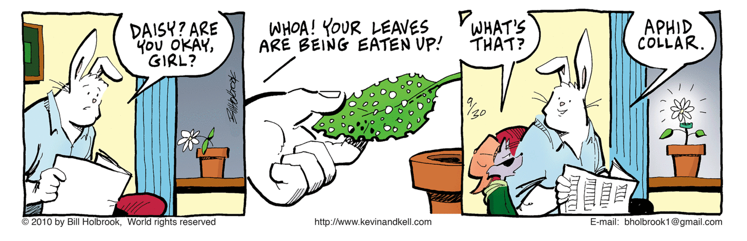 Plant OCR: DAISY? ARE You OKAYGIRL? WHOA! YOUR LEAVES ARE BEING EATEN UP! WHAT'S THAT? APHID COLLAR. © 2010 by Bill HolbrookWorld rights reserved http://www.kevinandkell.com E-mail: bholbrook1@gmail.com DAISY? ARE You OKAYGIRL? WHOA! YOUR LEAVES ARE BEING EATEN UP! WHAT'S THAT? APHID COLLAR. © 2010 by Bill HolbrookWorld rights reserved http://www.kevinandkell.com E-mail: bholbrook1@gmail.com