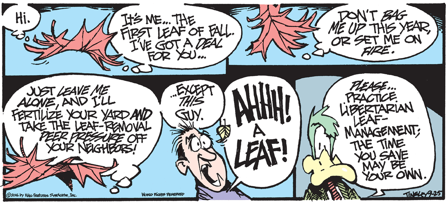 Comics OCR: Hi. ? ME..THE FIRST LEAF OF FALL. IVE GOTA DEAŽ FOR YOU.. „PON'T B4G ME UP THE YEAROR SET ME ON FIRE. JUST LEAVE ME ALONEAND I'LL FERTILIZE YOUR YARDAND TAKE THE LEAF-REMOVAL PEER PRESSURE OFF YOUR NAGHEORS! EXCEPT THIS GUY. PLEAGE... PRACTICE ÜBERTARIAN LEAF MANAGENENT; THE TIME YOU SAVE MAY BE YOUR OWN. A LEAF! @zo16 by Kie Features SmicateInc. Hi. ? ME..THE FIRST LEAF OF FALL. IVE GOTA DEAŽ FOR YOU.. „PON'T B4G ME UP THE YEAROR SET ME ON FIRE. JUST LEAVE ME ALONEAND I'LL FERTILIZE YOUR YARDAND TAKE THE LEAF-REMOVAL PEER PRESSURE OFF YOUR NAGHEORS! EXCEPT THIS GUY. PLEAGE... PRACTICE ÜBERTARIAN LEAF MANAGENENT; THE TIME YOU SAVE MAY BE YOUR OWN. A LEAF! @zo16 by Kie Features Smicate