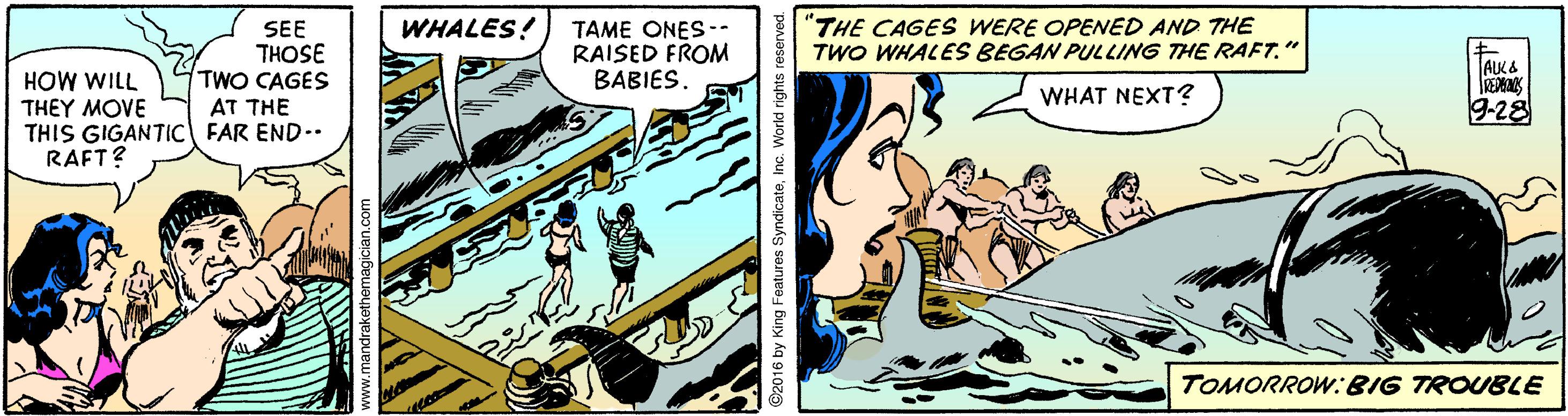Fiction OCR: "THE CAGES WERE OPENED AND THE TWO WHALES BEGAN PULLING THE RAFT." WHALES! SEE THOSE TWO CAGES TAME ONES-- RAISED FROM BABIES. HOW WILL THEY MOVE THIS GIGANTIC FAR END.. RAFT? WHAT NEXT? AT THE 9-28 TOMORROW:BIG TROUBLE "THE CAGES WERE OPENED AND THE TWO WHALES BEGAN PULLING THE RAFT." WHALES! SEE THOSE TWO CAGES TAME ONES-- RAISED FROM BABIES. HOW WILL THEY MOVE THIS GIGANTIC FAR END.. RAFT? WHAT NEXT? AT THE 9-28 TOMORROW:BIG TROUBLE