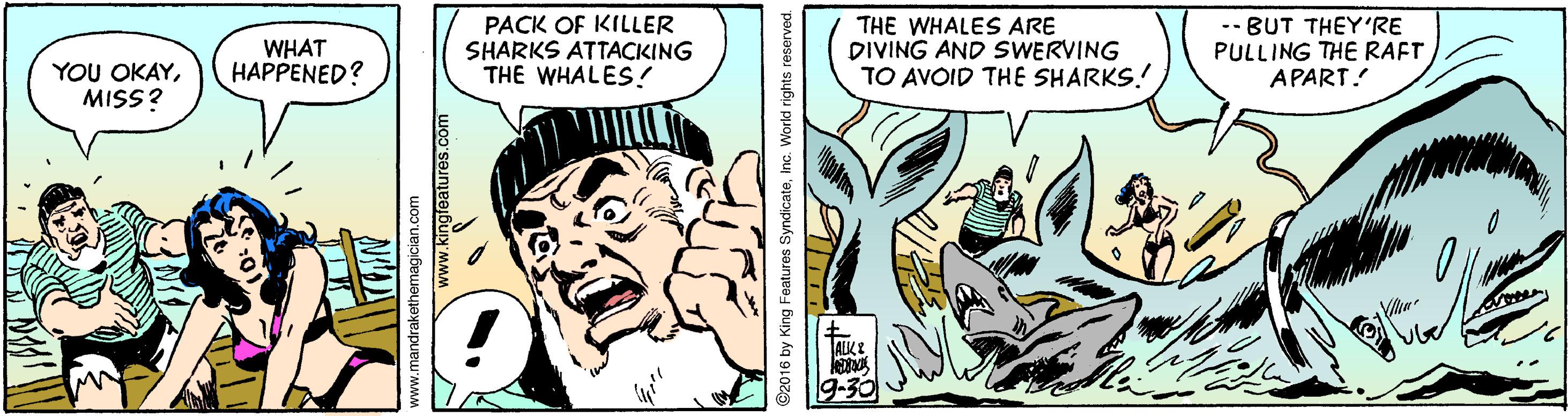 Comic book OCR: WHAT HAPPENED? PACK OF KILLER SHARKS ATTACKING THE WHALES! THE WHALES ARE DIVING AND SWERVING TO AVOID THE SHARKS! -- BUT THEY'RE PULLING THE RAFT APART! YOU OKAYMISS? www.kingleatures.com ©2016 by King Featuros SyndicateInc. World rights reserved. WHAT HAPPENED? PACK OF KILLER SHARKS ATTACKING THE WHALES! THE WHALES ARE DIVING AND SWERVING TO AVOID THE SHARKS! -- BUT THEY'RE PULLING THE RAFT APART! YOU OKAYMISS? www.kingleatures.com ©2016 by King Featuros SyndicateInc. World rights reserved.