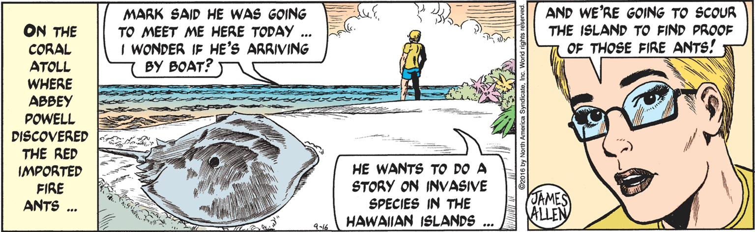 Happy OCR: MARK SAID HE WAS GOING TO MEET ME HERE TODAY ... I WONDER IF HE'S ARRIVING BY BOAT? AND WE'RE GOING TO SCOUR THE ISLAND TO FIND PROOF OF THOSE FIRE ANTS! ON THE CORAL ATOLL WHERE ABBEY POWELL DISCOVERED THE RED IMPORTED FIRE ANTS .. HE WANTS TO DO A STORY ON INVASIVE SPECIES IN THE HAWAIIAN ISLANDS ... JAMES ALLEN 9-16 2016 by North America SyndicateInc MARK SAID HE WAS GOING TO MEET ME HERE TODAY ... I WONDER IF HE'S ARRIVING BY BOAT? AND WE'RE GOING TO SCOUR THE ISLAND TO FIND PROOF OF THOSE FIRE ANTS! ON THE CORAL ATOLL WHERE ABBEY POWELL DISCOVERED THE RED IMPORTED FIRE ANTS .. HE WANTS TO DO A STORY ON INVASIVE SPECIES IN THE HAWAIIAN ISLANDS ... JAMES ALLEN 9-16 2016 by North America Syndicate