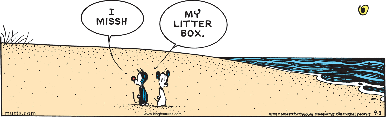 Illustration OCR: MY LITTER ???. MISSH mutts.com www.kingfeatures.com MuTt e2016 AtekK MDouNell-DISTREVTED Y KG FEATRES swocE 9-3 MY LITTER ???. MISSH mutts.com www.kingfeatures.com MuTt e2016 AtekK MDouNell-DISTREVTED Y KG FEATRES swocE 9-3