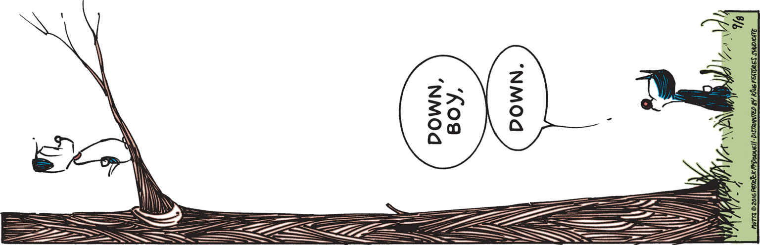 Circle OCR: DOWNDOWN. DOWN