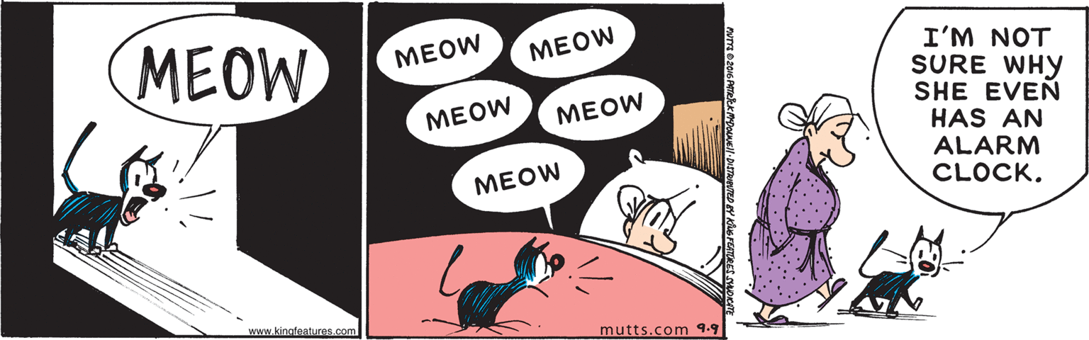 Adaptation OCR: MEOW MEOW ?EOW I'M NOT SURE WHY SHE EVEN ?EOW MEOW HAS AN ALARM CLOCK. ??OW www.kingfeatures.com mutts.com 9.9 MEOW MEOW ?EOW I'M NOT SURE WHY SHE EVEN ?EOW MEOW HAS AN ALARM CLOCK. ??OW www.kingfeatures.com mutts.com 9.9