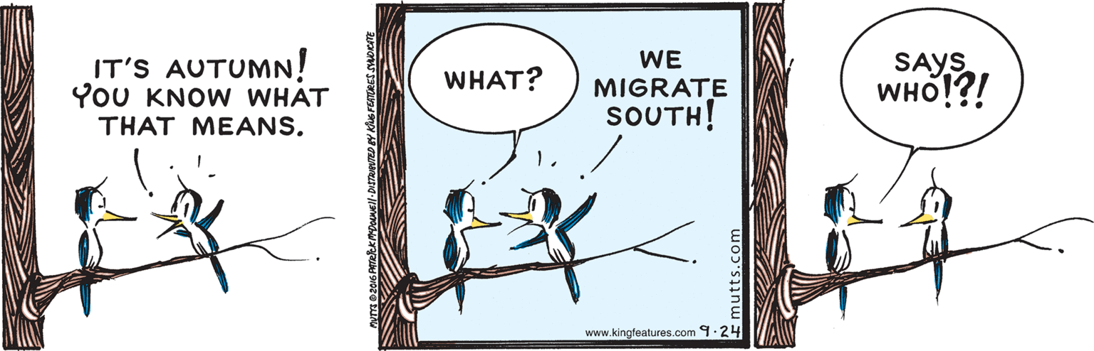 Illustration OCR: IT'S AUTUMN! YoU KNOW WHAT THAT MEANS. WE SAYS WHO!?! WHAT? MIGRATE SOUTH! www.kingfeatures.com 9.24 mutts.com IT'S AUTUMN! YoU KNOW WHAT THAT MEANS. WE SAYS WHO!?! WHAT? MIGRATE SOUTH! www.kingfeatures.com 9.24 mutts.com