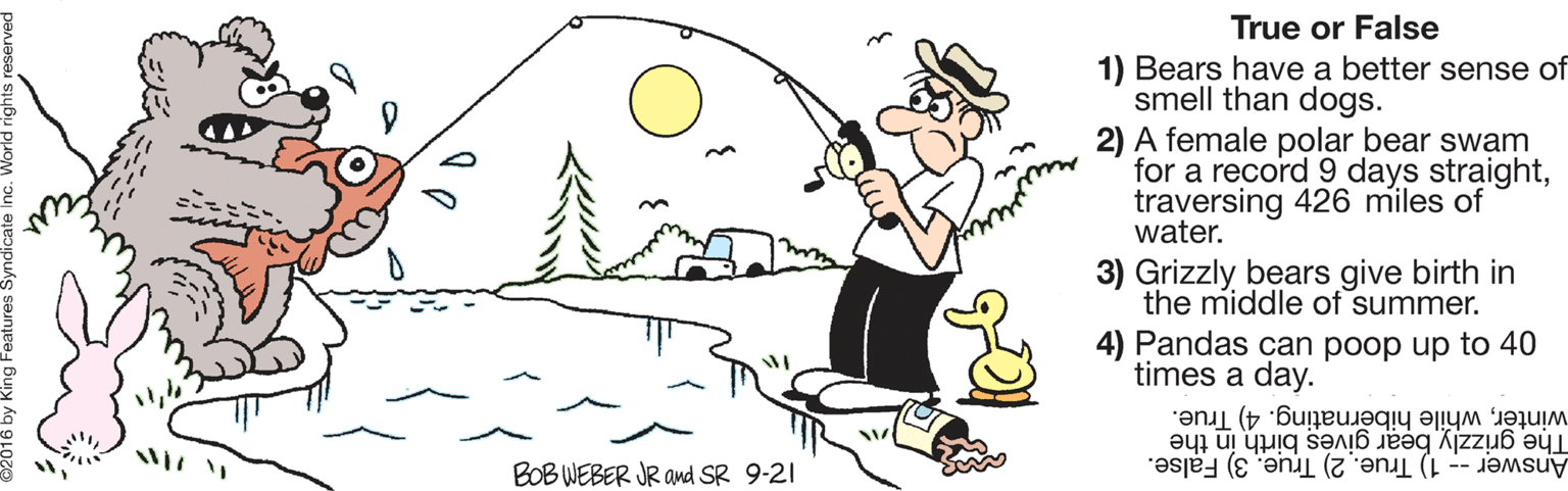 Font OCR: True or False 1) Bears have a better sense of smell than dogs. 2) A female polar bear swam for a record 9 days straighttraversing 426 miles of water. 3) Grizzly bears give birth in the middle of summer. 4) Pandas can poop up to 40 times a day. winterwhile hibernating. 4) True. The grizzly bear givés birth in the BOB WEBER JR and SR 9-21 Answer -- 1) True. 2) True. 3) False. True or False 1) Bears have a better sense of smell than dogs. 2) A female polar bear swam for a record 9 days straighttraversing 426 miles of water. 3) Grizzly bears give birth in the middle of summer. 4) Pandas can poop up to 40 times a day. winterwhile hibernating. 4) True. The grizzly bear givés birth in the BOB WEBER JR and SR 9-21 Answer -- 1) True. 2) True. 3) False.