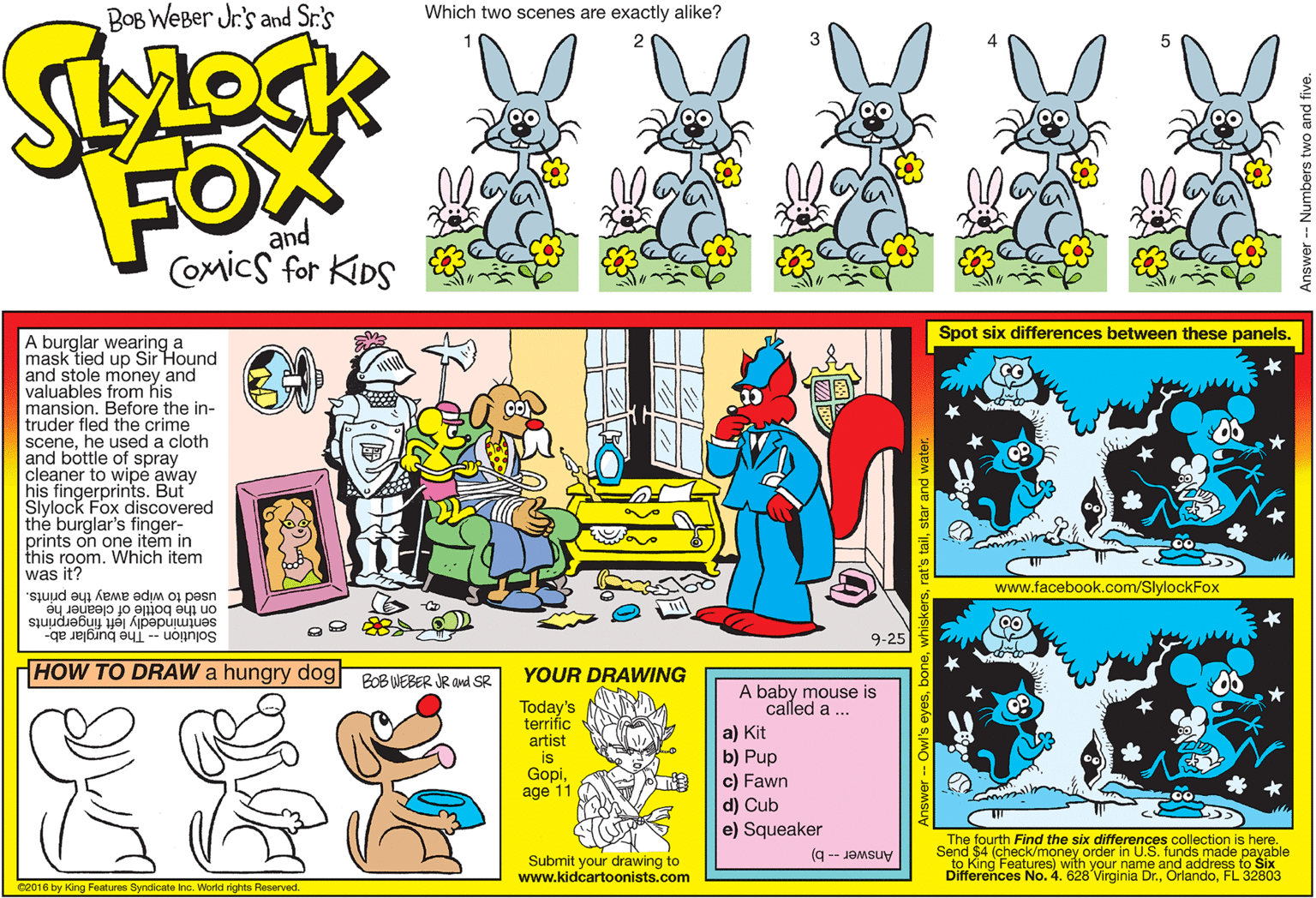 Graphic design OCR: BOB WEBer Jr's and Sr.'s Which two scenes are exactly alike? FOX and COmics for KIDS Spot six differences between these panels. A burglar wearing a mask tied up Sir Hound and stole money and valuables from his mansion. Before the in- truder fled the crime scenehe used a cloth and bottle of spray cleaner to wipe away his fingerprints. But Slylock Fox discovered the burglar's finger- prints on one item in this room. Which item was it? www.facebook.com/SlylockFox used to wipe away the prints. on the bottle of cleaner he sentmindedly left fingerprints Solution -- Th? burglar ab- HOW TO DRAW a hungry dog Po8 WEBER JR and SR 9-25 YOUR DRAWING Today's terrific artist is Gopiage 11 A baby mouse is called a ... a) Kit b) Pup c) Fawn d) Cub e) Squeaker Submit your drawing to www.kidcartoonists.com The fourth Find the six differences collection is here. Send $4 (check/money order in U.S. funds made payable to King Features) with your name and address to Šix Differences No. 4. 628 Virginia Dr.FL 32803 Answer - b) C2016 by King Features Syndicate Inc. World rights Reserved. O IL BOB WEBer Jr's and Sr.'s Which two scenes are exactly alike? FOX and COmics for KIDS Spot six differences between these panels. A burglar wearing a mask tied up Sir Hound and stole money and valuables from his mansion. Before the in- truder fled the crime scenehe used a cloth and bottle of spray cleaner to wipe away his fingerprints. But Slylock Fox discovered the burglar's finger- prints on one item in this room. Which item was it? www.facebook.com/SlylockFox used to wipe away the prints. on the bottle of cleaner he sentmindedly left fingerprints Solution -- Th? burglar ab- HOW TO DRAW a hungry dog Po8 WEBER JR and SR 9-25 YOUR DRAWING Today's terrific artist is Gopiage 11 A baby mouse is called a ... a) Kit b) Pup c) Fawn d) Cub e) Squeaker Submit your drawing to www.kidcartoonists.com The fourth Find the six differences collection is here. Send $4 (check/money order in U.S. funds made payable to King Features) with your name and address to Šix Differences No. 4. 628 Virginia Dr.FL 32803 Answer - b) C2016 by King Features Syndicate Inc. World rights Reserved. O IL