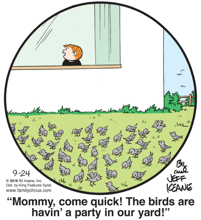 Graphics OCR: ? 9-24 © 2016 Bil KeaneInc. Dist. by King Features Synd. www.familycircus.com JEFF (EANE "Mommycome quick! The birds are havin' a party in our yard!" ? 9-24 © 2016 Bil KeaneInc. Dist. by King Features Synd. www.familycircus.com JEFF (EANE "Mommycome quick! The birds are havin' a party in our yard!"