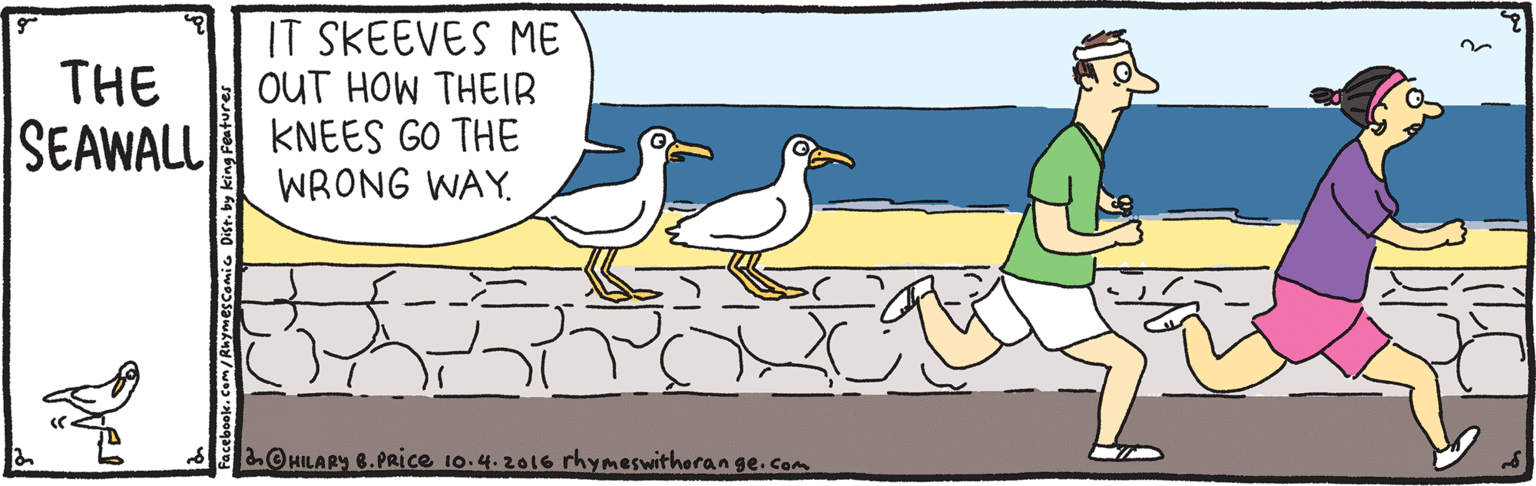 Beak OCR: IT SKEEVES ME OUT HOW THEIB KNEES GO THE WRONG WAY. THE SEAWALL .© HILARY B.PRice 10.4.20I6 rhymeswithorange.com IT SKEEVES ME OUT HOW THEIB KNEES GO THE WRONG WAY. THE SEAWALL .© HILARY B.PRice 10.4.20I6 rhymeswithorange.com
