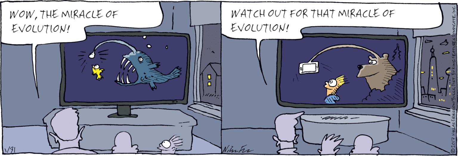 Rectangle OCR: WOWTHE MIRACLE OF EVOLUTION! WATCH OUT FOR THAT MIRACLE OF EVOLUTION! WOWTHE MIRACLE OF EVOLUTION! WATCH OUT FOR THAT MIRACLE OF EVOLUTION!
