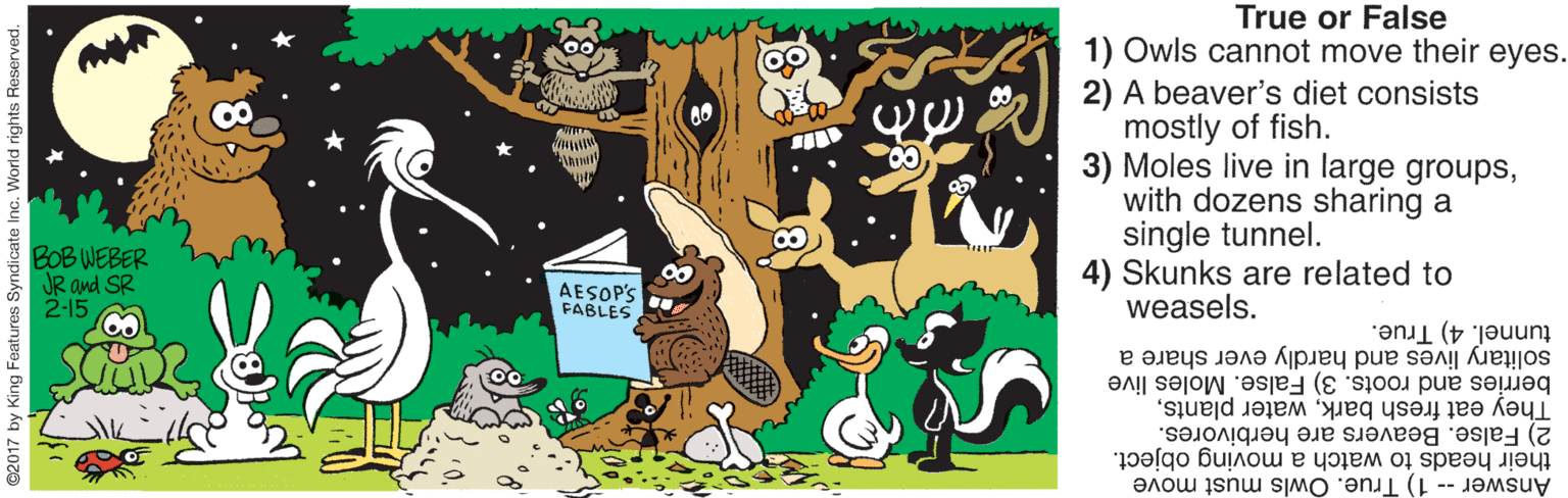 Illustration OCR: True or False F 1) Owls cannot move their eyes. 2) A beaver's diet consists mostly of fish. 3) Moles live in large groupswith dozens sharing a single tunnel. 4) Skunks are related to weasels. BOB WEBER JR and SR 2-15 AESOP'S FABLES tunnel. 4) True. solitary lives and hardly ever share a They eat fresh barkberries and roots. 3) False. Moles live 2) False. Beavers are herbivores. their heads to watch a moving object. Answer -- 1) True. Owls must move no. World rights Res True or False F 1) Owls cannot move their eyes. 2) A beaver's diet consists mostly of fish. 3) Moles live in large groupswith dozens sharing a single tunnel. 4) Skunks are related to weasels. BOB WEBER JR and SR 2-15 AESOP'S FABLES tunnel. 4) True. solitary lives and hardly ever share a They eat fresh barkwater plantsberries and roots. 3) False. Moles live 2) False. Beavers are herbivores. their heads to watch a moving object. Answer -- 1) True. Owls must move no. World rights Res