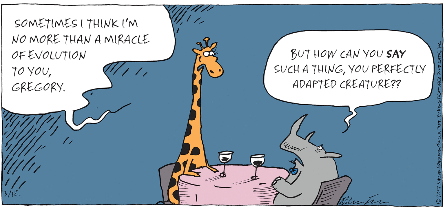 Cartoon OCR: SOMETIMES I THINK I'M NO MORE THANA MIRACLE OF EVOLUTION TO YOUGREGORY. BUT HOW CAN YOU SAY SUCH A THINGYOU PERFECTLY ADAPTED CREATURE?? unn 3/12 2017 NiKLAS ERIKSsON/BULLSINC SOMETIMES I THINK I'M NO MORE THANA MIRACLE OF EVOLUTION TO YOUGREGORY. BUT HOW CAN YOU SAY SUCH A THINGYOU PERFECTLY ADAPTED CREATURE?? unn 3/12 2017 NiKLAS ERIKSsON/BULLSDIST. By KIwG FEATURES SYNDICATE