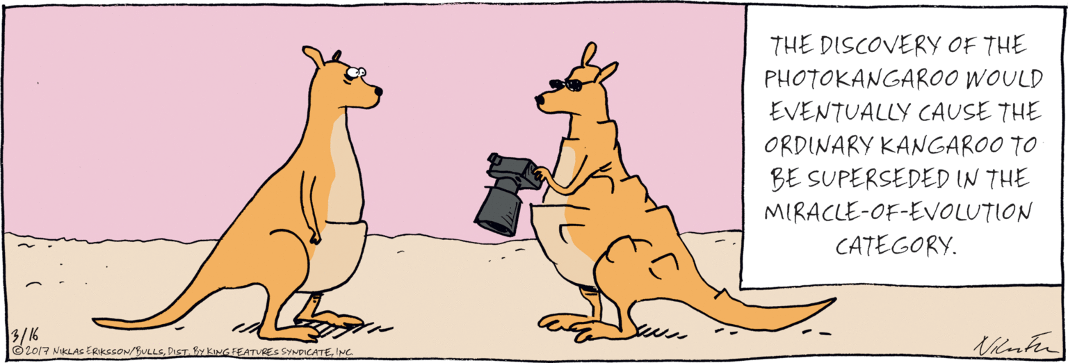 Clip art OCR: THE DISCOVERY OF THE PHOTOKANGAROO WOULD EVENTUALLY CAUSE THE ORDINARY KANGAROO TO BE SUPERSEDED IN THE MIRACLE- OF-EVOLUTION CATEGORY. 3/16 © 2017 NIKLAS ERIKSSON/BULLSINC THE DISCOVERY OF THE PHOTOKANGAROO WOULD EVENTUALLY CAUSE THE ORDINARY KANGAROO TO BE SUPERSEDED IN THE MIRACLE- OF-EVOLUTION CATEGORY. 3/16 © 2017 NIKLAS ERIKSSON/BULLSDIST. BY KING FEATURES SYNDICATE