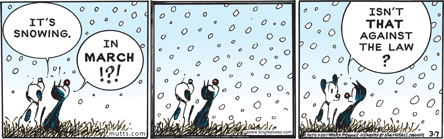 Illustration OCR: ISN'T IT'S SNOWING. THAT AGAINST THE LAW IN MARCH !?! mutts.com w.kingfeatures.com ISN'T IT'S SNOWING. THAT AGAINST THE LAW IN MARCH !?! mutts.com w.kingfeatures.com