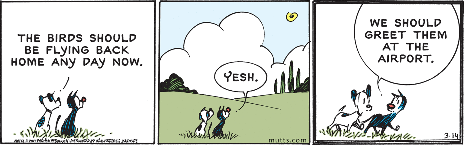 Terrestrial plant OCR: WE SHOULD GREET THEM AT THE AIRPORT. THE BIRDS SHOULD BE FLYING BACK HOME ANY DAY NOW. YESH. 3.14 mutts.com WE SHOULD GREET THEM AT THE AIRPORT. THE BIRDS SHOULD BE FLYING BACK HOME ANY DAY NOW. YESH. 3.14 mutts.com