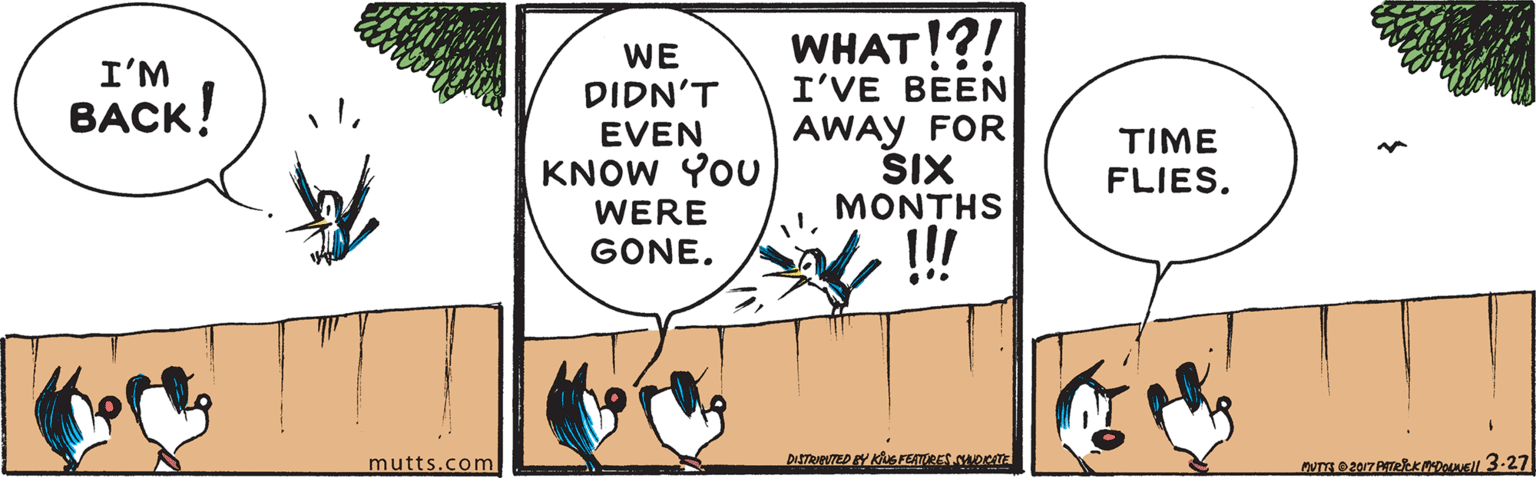 Fiction OCR: WHAT!?! I'VE BEEN WE I'M DIDN'T EVEN KNOW YOU WERE GONE. BACK! AWAY FOR SIX MONTHS TIME FLIES. ! mutts.com DISTAUTED Y KFETTRES OCm WHAT!?! I'VE BEEN WE I'M DIDN'T EVEN KNOW YOU WERE GONE. BACK! AWAY FOR SIX MONTHS TIME FLIES. ! mutts.com DISTAUTED Y KFETTRES OCm